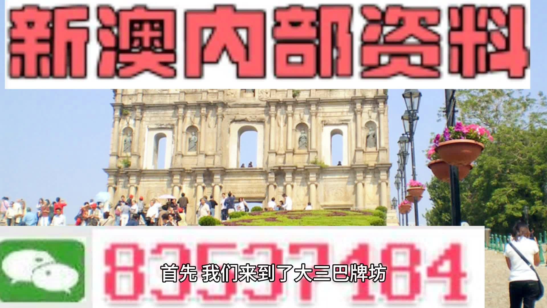 新澳门精准一肖，新澳门精准一肖|精选资料解析大全