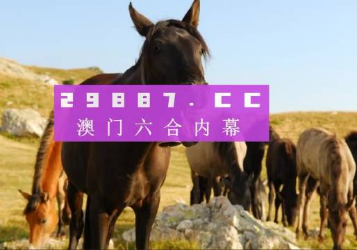 百科 第312页