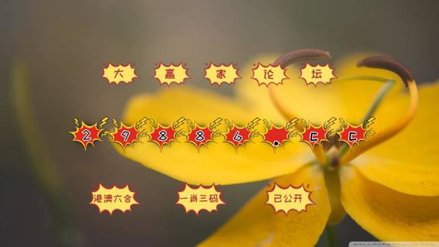 澳门4949开奖结果最快|精选资料解析大全