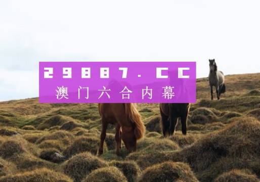 焦点 第275页