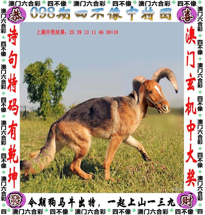 2024四不像正版最新版本|精选资料解析大全