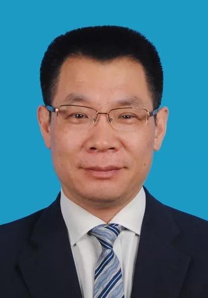 2024新奥资料免费公开|精选资料解析大全