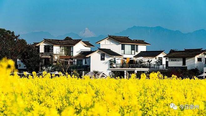 斗门五星村最新消息