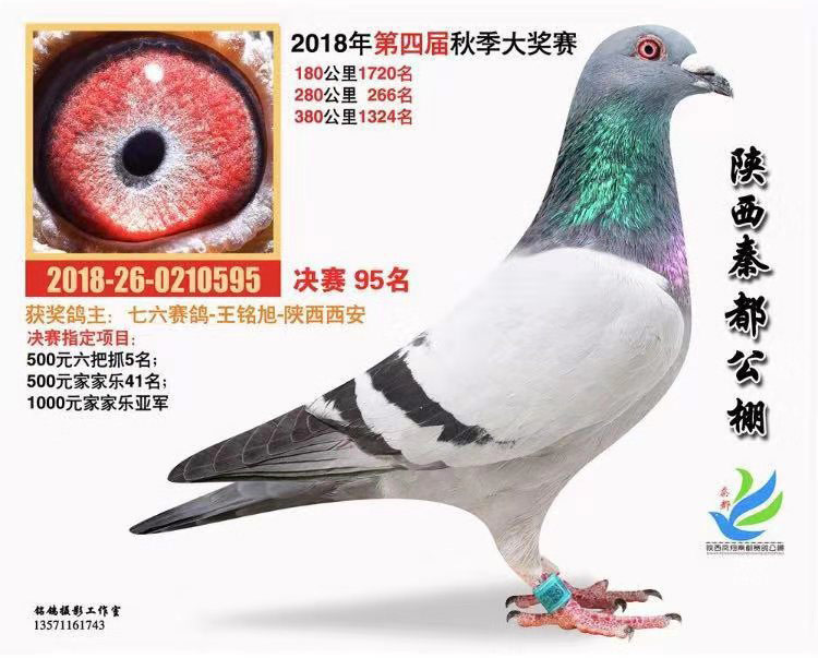 焦点 第200页