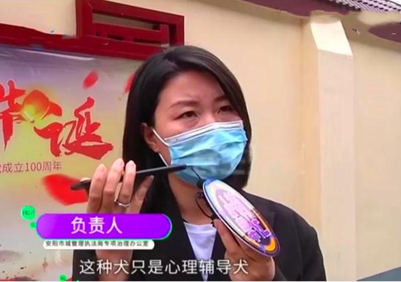 小莉帮忙最新一期内容