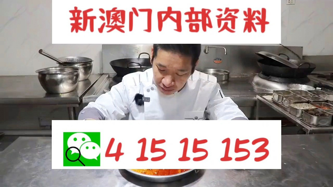 新澳门管家婆一句,新澳门管家婆一句，探索背后的故事与意义
