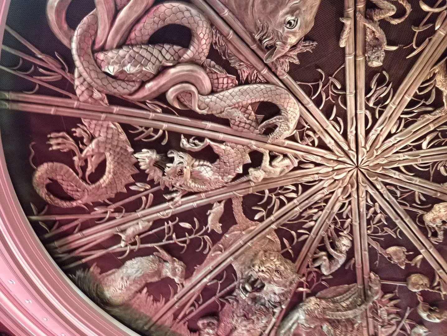 澳门六开彩天天开奖结果生肖卡,澳门六开彩天天开奖结果与生肖卡的魅力